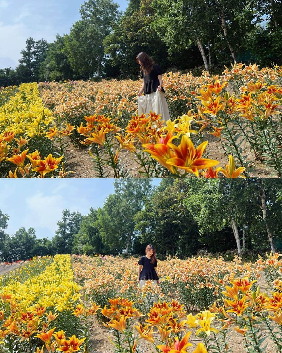 金光みり愛さんのインスタグラム写真 - (金光みり愛Instagram)「. 北海道で、「お花畑行きたーい🌸」って突然思い立って、近くで探して出てきたリリーパークに立ち寄ったらめちゃくちゃいいところだった🥹💐🌸  広すぎて歩いて回りきれる気がしなくて ガイドさん付きのカートで回ったよ🥰  気さくなガイドさんでたくさん写真撮ってくださって、 最後の一枚が新婚さんって感じでツボ😂💓  暑かったけどカートだと屋根もあって 風も感じられて最高だった🫶🏻 1人500円だから絶対カートで回るべし💐  . . . . . #北海道#北海道旅行#北見#知床#北海道グルメ#北海道ホテル#知床グルメ#知床ホテル#北こぶし#北海道観光#知床五湖#知床観光#ホテル#国内旅行#カップル旅行#カップル旅#北海道土産#旅行#旅#旅行コーデ#小清水#ゆりの郷#ゆりの郷こしみずリリーパーク」7月30日 21時37分 - milliah_kanemitsu