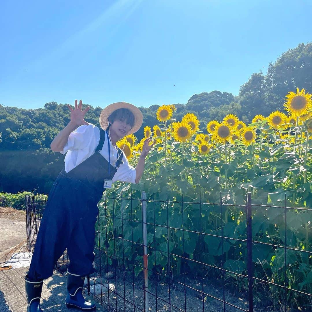 手島章斗さんのインスタグラム写真 - (手島章斗Instagram)「🌻🌻🌻  #ロケ #offshot #ボクP #岡山 #香川 #放送をお楽しみに #ひまわりとわたし #今日も一日お疲れ様でしな」7月30日 21時35分 - akito_solidemo_official