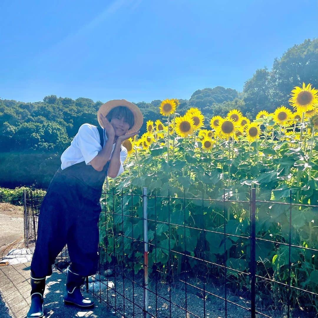 手島章斗さんのインスタグラム写真 - (手島章斗Instagram)「🌻🌻🌻  #ロケ #offshot #ボクP #岡山 #香川 #放送をお楽しみに #ひまわりとわたし #今日も一日お疲れ様でしな」7月30日 21時35分 - akito_solidemo_official