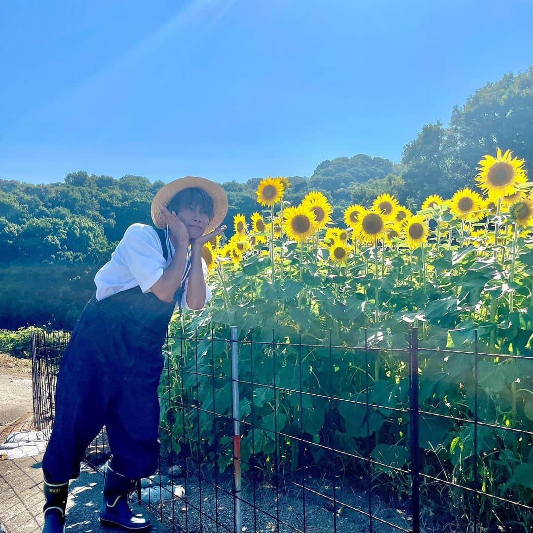 手島章斗さんのインスタグラム写真 - (手島章斗Instagram)「🌻🌻🌻  #ロケ #offshot #ボクP #岡山 #香川 #放送をお楽しみに #ひまわりとわたし #今日も一日お疲れ様でしな」7月30日 21時35分 - akito_solidemo_official