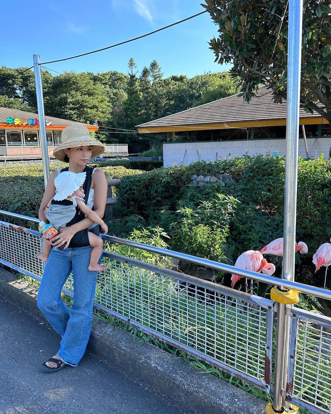 ANNA さんのインスタグラム写真 - (ANNA Instagram)「今日は姉のダンススクール @rep_japan が東武動物公園でイベントをやっていたので家族で観に行ってきました🦁🎡  踊ってるみんなはもちろん、見に来てる方達も、みんなが楽しそうにキラキラしてて、最高の空間でした✨  久々のイントラの皆さんや生徒さん、ママさん達にお会い出来て嬉しい楽しい一日でした🧡  帰りは動物園も楽しんで帰りました🐘  #repjapan #東武動物公園 #1歳女の子ママ #動物園デビュー」7月30日 21時44分 - anna_flare
