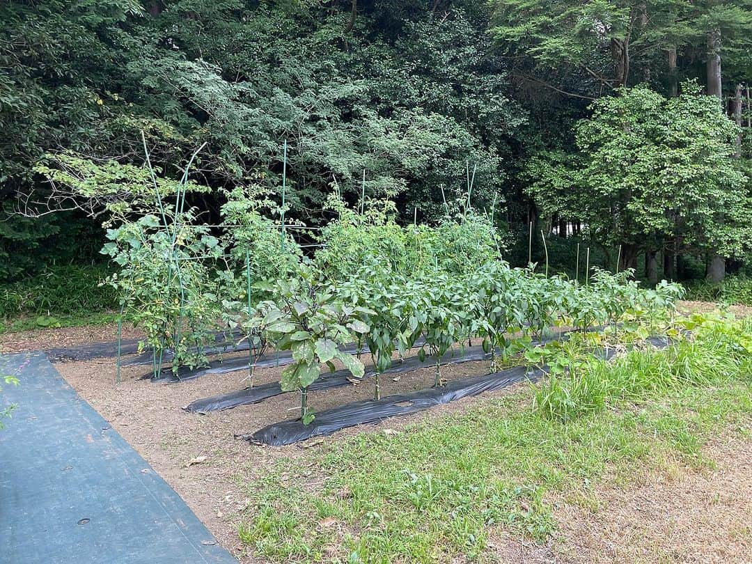五箇公貴さんのインスタグラム写真 - (五箇公貴Instagram)「栃木県大田原から静岡県小山町へ。生きてると色々ありますが緑には助けられますね。明日から撮影です。」7月30日 22時05分 - kimitakagoka