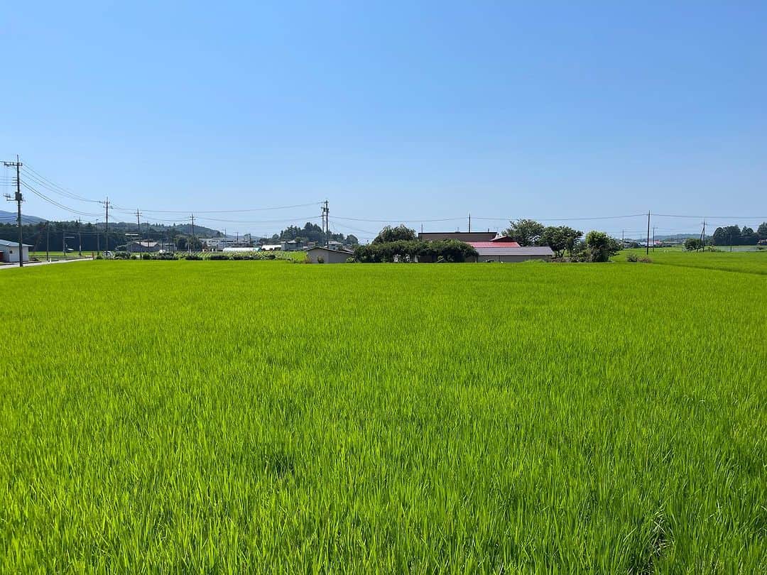 五箇公貴のインスタグラム：「栃木県大田原から静岡県小山町へ。生きてると色々ありますが緑には助けられますね。明日から撮影です。」
