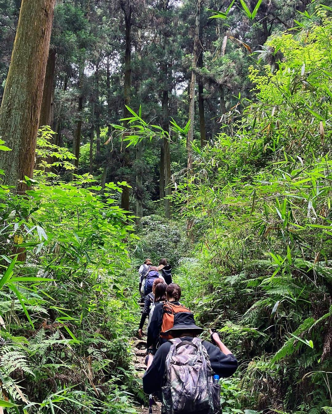 岩崎裕美のインスタグラム：「2023.6  📍二上山登山(雌岳 / 雄岳)⛰️  前回行ったの4,5年前の5月頃だったから気候も良くてすいすい〜っと登り下りした記憶なのだけど、  気温と湿度のせいなのか  体力が落ちたのか  ルートが違うからなのか  前回よりしんどかった😇  ちなみに9,10枚目の写真はマイフェイバリット餅の一つである #中将堂本舗 のお餅。  写真9,10枚目にもってきてあたかも登山後のご褒美に美味しくいただきました風やけど、登山する前に何ならお持ち帰りじゃなく店内でお茶と共にほっこり食べたよね←  そのままそこで喋り続けてしまいそうなほっこり感〜☺️☺️#違う今から登るよ🧗‍♀️  ちなみに7月〜はお餅販売してないみたいでギリギリ6月中に登山したから食べれた✌️幸。  登山のことより餅のこと語ってしまうね？😇  みんなで食べる頂上でのお弁当とおやつタイム、学校みたいでめちゃ好きだった。  いつも通りソロ登山もするけど、最近はダンスメンバーのおかげで賑やか楽しい登山もできて嬉しいな🫶💜」