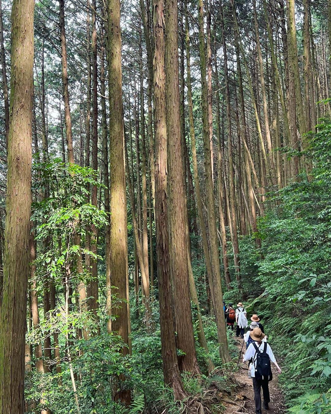 岩崎裕美さんのインスタグラム写真 - (岩崎裕美Instagram)「2023.6  📍二上山登山(雌岳 / 雄岳)⛰️  前回行ったの4,5年前の5月頃だったから気候も良くてすいすい〜っと登り下りした記憶なのだけど、  気温と湿度のせいなのか  体力が落ちたのか  ルートが違うからなのか  前回よりしんどかった😇  ちなみに9,10枚目の写真はマイフェイバリット餅の一つである #中将堂本舗 のお餅。  写真9,10枚目にもってきてあたかも登山後のご褒美に美味しくいただきました風やけど、登山する前に何ならお持ち帰りじゃなく店内でお茶と共にほっこり食べたよね←  そのままそこで喋り続けてしまいそうなほっこり感〜☺️☺️#違う今から登るよ🧗‍♀️  ちなみに7月〜はお餅販売してないみたいでギリギリ6月中に登山したから食べれた✌️幸。  登山のことより餅のこと語ってしまうね？😇  みんなで食べる頂上でのお弁当とおやつタイム、学校みたいでめちゃ好きだった。  いつも通りソロ登山もするけど、最近はダンスメンバーのおかげで賑やか楽しい登山もできて嬉しいな🫶💜」7月30日 22時28分 - hiromi_iwasaki