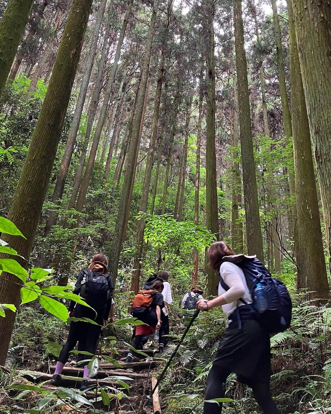 岩崎裕美さんのインスタグラム写真 - (岩崎裕美Instagram)「2023.6  📍二上山登山(雌岳 / 雄岳)⛰️  前回行ったの4,5年前の5月頃だったから気候も良くてすいすい〜っと登り下りした記憶なのだけど、  気温と湿度のせいなのか  体力が落ちたのか  ルートが違うからなのか  前回よりしんどかった😇  ちなみに9,10枚目の写真はマイフェイバリット餅の一つである #中将堂本舗 のお餅。  写真9,10枚目にもってきてあたかも登山後のご褒美に美味しくいただきました風やけど、登山する前に何ならお持ち帰りじゃなく店内でお茶と共にほっこり食べたよね←  そのままそこで喋り続けてしまいそうなほっこり感〜☺️☺️#違う今から登るよ🧗‍♀️  ちなみに7月〜はお餅販売してないみたいでギリギリ6月中に登山したから食べれた✌️幸。  登山のことより餅のこと語ってしまうね？😇  みんなで食べる頂上でのお弁当とおやつタイム、学校みたいでめちゃ好きだった。  いつも通りソロ登山もするけど、最近はダンスメンバーのおかげで賑やか楽しい登山もできて嬉しいな🫶💜」7月30日 22時28分 - hiromi_iwasaki