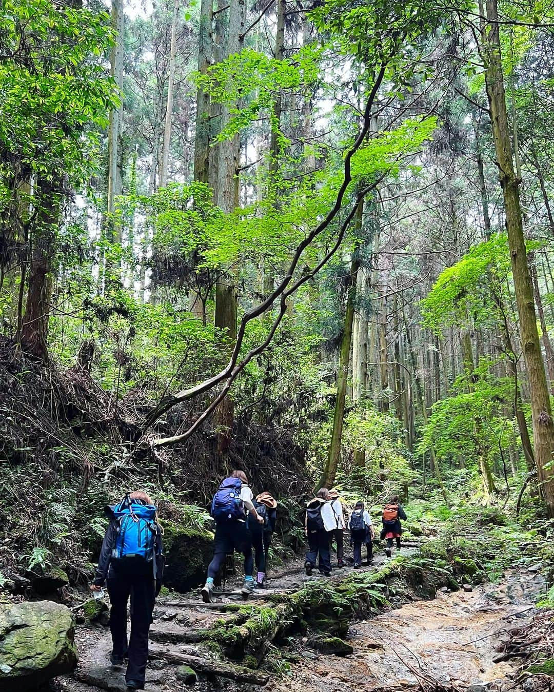 岩崎裕美さんのインスタグラム写真 - (岩崎裕美Instagram)「2023.6  📍二上山登山(雌岳 / 雄岳)⛰️  前回行ったの4,5年前の5月頃だったから気候も良くてすいすい〜っと登り下りした記憶なのだけど、  気温と湿度のせいなのか  体力が落ちたのか  ルートが違うからなのか  前回よりしんどかった😇  ちなみに9,10枚目の写真はマイフェイバリット餅の一つである #中将堂本舗 のお餅。  写真9,10枚目にもってきてあたかも登山後のご褒美に美味しくいただきました風やけど、登山する前に何ならお持ち帰りじゃなく店内でお茶と共にほっこり食べたよね←  そのままそこで喋り続けてしまいそうなほっこり感〜☺️☺️#違う今から登るよ🧗‍♀️  ちなみに7月〜はお餅販売してないみたいでギリギリ6月中に登山したから食べれた✌️幸。  登山のことより餅のこと語ってしまうね？😇  みんなで食べる頂上でのお弁当とおやつタイム、学校みたいでめちゃ好きだった。  いつも通りソロ登山もするけど、最近はダンスメンバーのおかげで賑やか楽しい登山もできて嬉しいな🫶💜」7月30日 22時28分 - hiromi_iwasaki