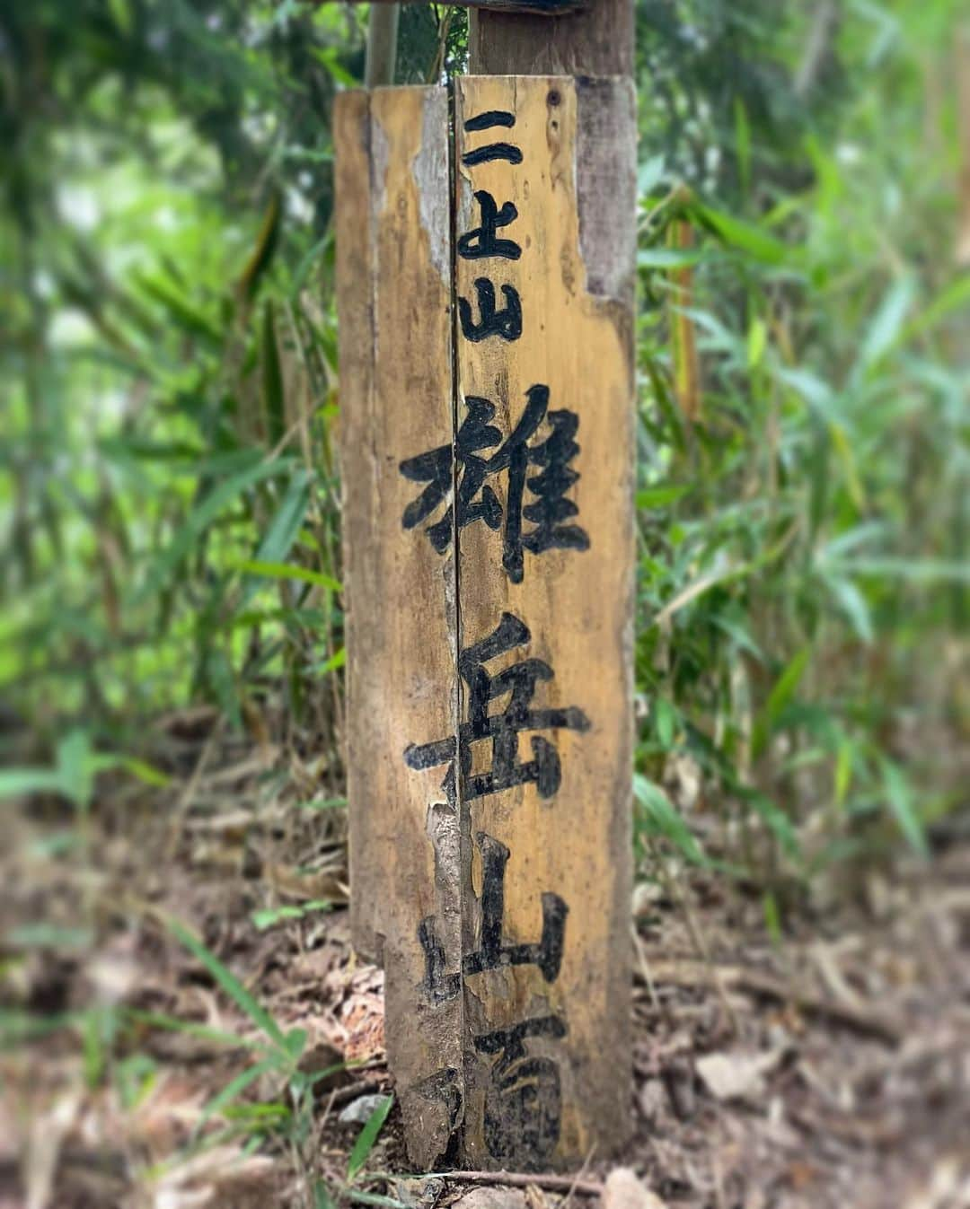 岩崎裕美さんのインスタグラム写真 - (岩崎裕美Instagram)「2023.6  📍二上山登山(雌岳 / 雄岳)⛰️  前回行ったの4,5年前の5月頃だったから気候も良くてすいすい〜っと登り下りした記憶なのだけど、  気温と湿度のせいなのか  体力が落ちたのか  ルートが違うからなのか  前回よりしんどかった😇  ちなみに9,10枚目の写真はマイフェイバリット餅の一つである #中将堂本舗 のお餅。  写真9,10枚目にもってきてあたかも登山後のご褒美に美味しくいただきました風やけど、登山する前に何ならお持ち帰りじゃなく店内でお茶と共にほっこり食べたよね←  そのままそこで喋り続けてしまいそうなほっこり感〜☺️☺️#違う今から登るよ🧗‍♀️  ちなみに7月〜はお餅販売してないみたいでギリギリ6月中に登山したから食べれた✌️幸。  登山のことより餅のこと語ってしまうね？😇  みんなで食べる頂上でのお弁当とおやつタイム、学校みたいでめちゃ好きだった。  いつも通りソロ登山もするけど、最近はダンスメンバーのおかげで賑やか楽しい登山もできて嬉しいな🫶💜」7月30日 22時28分 - hiromi_iwasaki