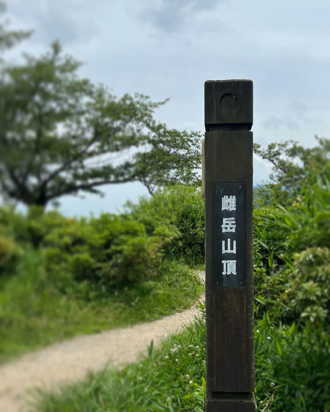 岩崎裕美さんのインスタグラム写真 - (岩崎裕美Instagram)「2023.6  📍二上山登山(雌岳 / 雄岳)⛰️  前回行ったの4,5年前の5月頃だったから気候も良くてすいすい〜っと登り下りした記憶なのだけど、  気温と湿度のせいなのか  体力が落ちたのか  ルートが違うからなのか  前回よりしんどかった😇  ちなみに9,10枚目の写真はマイフェイバリット餅の一つである #中将堂本舗 のお餅。  写真9,10枚目にもってきてあたかも登山後のご褒美に美味しくいただきました風やけど、登山する前に何ならお持ち帰りじゃなく店内でお茶と共にほっこり食べたよね←  そのままそこで喋り続けてしまいそうなほっこり感〜☺️☺️#違う今から登るよ🧗‍♀️  ちなみに7月〜はお餅販売してないみたいでギリギリ6月中に登山したから食べれた✌️幸。  登山のことより餅のこと語ってしまうね？😇  みんなで食べる頂上でのお弁当とおやつタイム、学校みたいでめちゃ好きだった。  いつも通りソロ登山もするけど、最近はダンスメンバーのおかげで賑やか楽しい登山もできて嬉しいな🫶💜」7月30日 22時28分 - hiromi_iwasaki