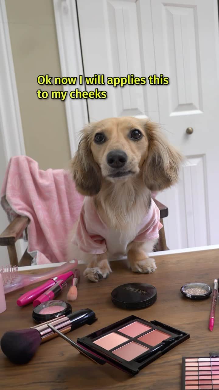 Crusoe the Celebrity Dachshundのインスタグラム：「“I tink maybes I didn’t put enough makeups.. what u think”? ~ Daphne💄💋   #dogbarbie✨🦄 #makeupdog #dachshund #barbie #makeup」