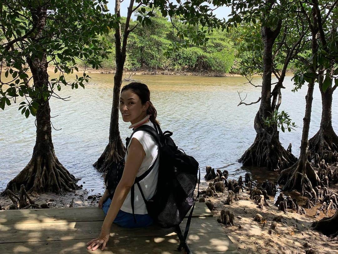 木下あゆ美さんのインスタグラム写真 - (木下あゆ美Instagram)「夏休みは石垣島へ。台風も進路がずれて、大きなダメージも無く楽しめました。 海三昧とはいかなかったけど、離島に渡ったり、美しい大自然の景色を見れて、満足☺️  #まだまだ開拓の余地あり #石垣島 #川平湾 #竹富島 #マングローブ」7月30日 23時11分 - ayumi_kinoshita13121982