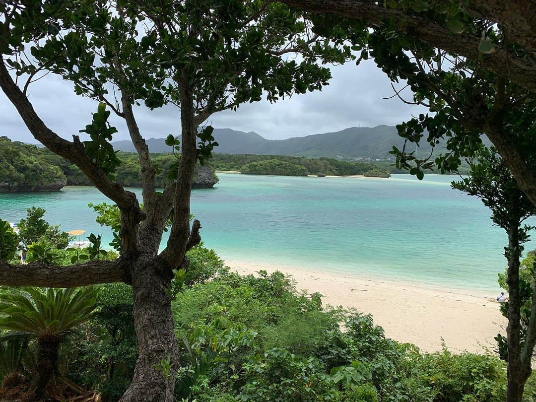 木下あゆ美のインスタグラム：「夏休みは石垣島へ。台風も進路がずれて、大きなダメージも無く楽しめました。 海三昧とはいかなかったけど、離島に渡ったり、美しい大自然の景色を見れて、満足☺️  #まだまだ開拓の余地あり #石垣島 #川平湾 #竹富島 #マングローブ」