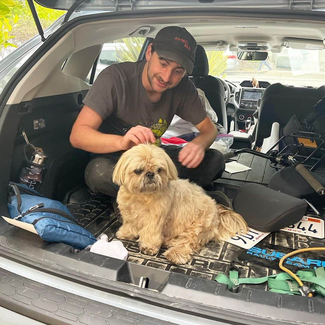 Dougie the Shih Tzuさんのインスタグラム写真 - (Dougie the Shih TzuInstagram)「Happy 23rd to Dougie’s best buddy!  He’s been in Montana all summer digging up dinosaurs and will head to University of Washington this fall to study Museology. So, I guess we better starting calling him Grad School Kid. ❤️」7月30日 23時26分 - dailydougie