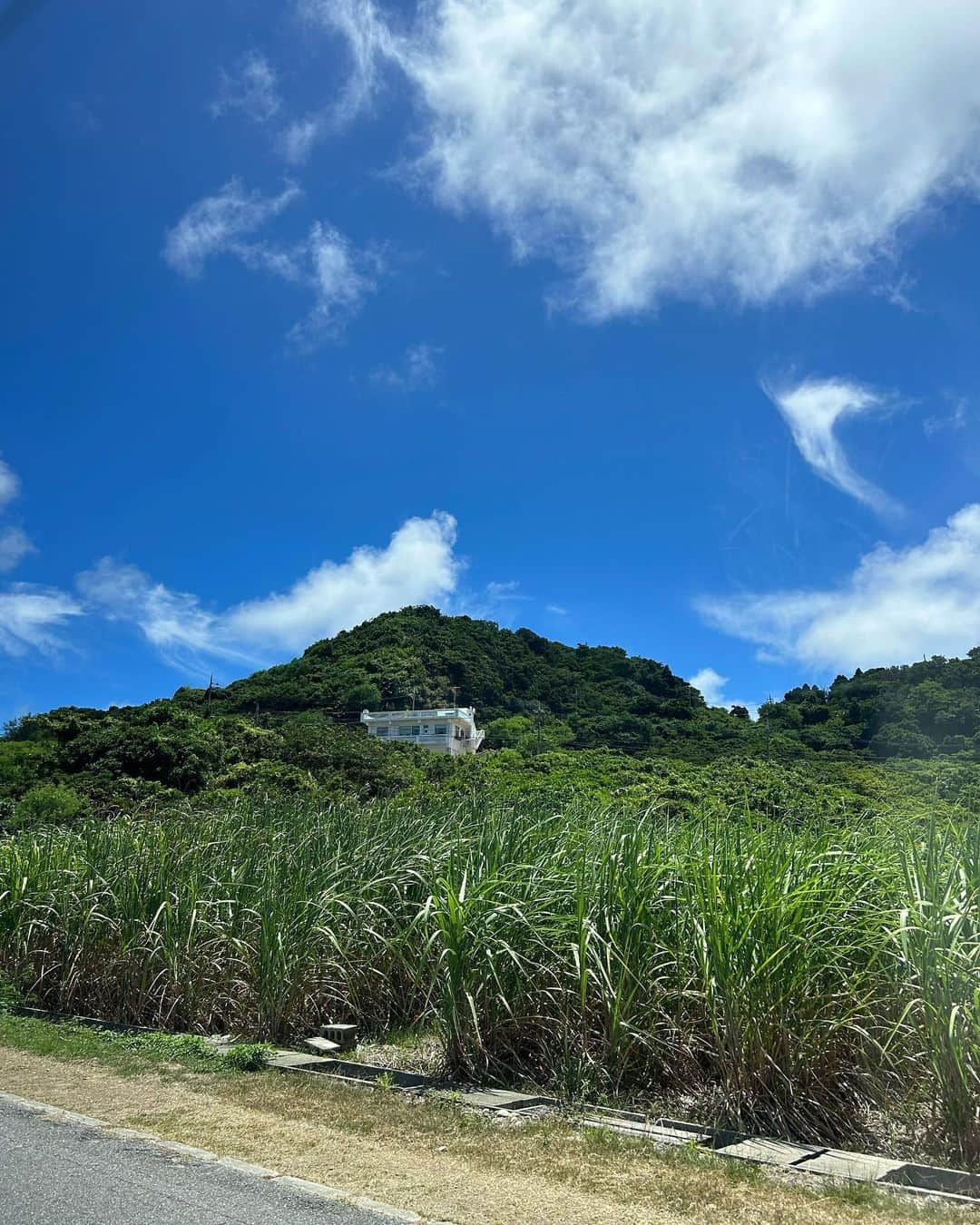 丸山礼さんのインスタグラム写真 - (丸山礼Instagram)7月31日 9時07分 - rei_maruyama