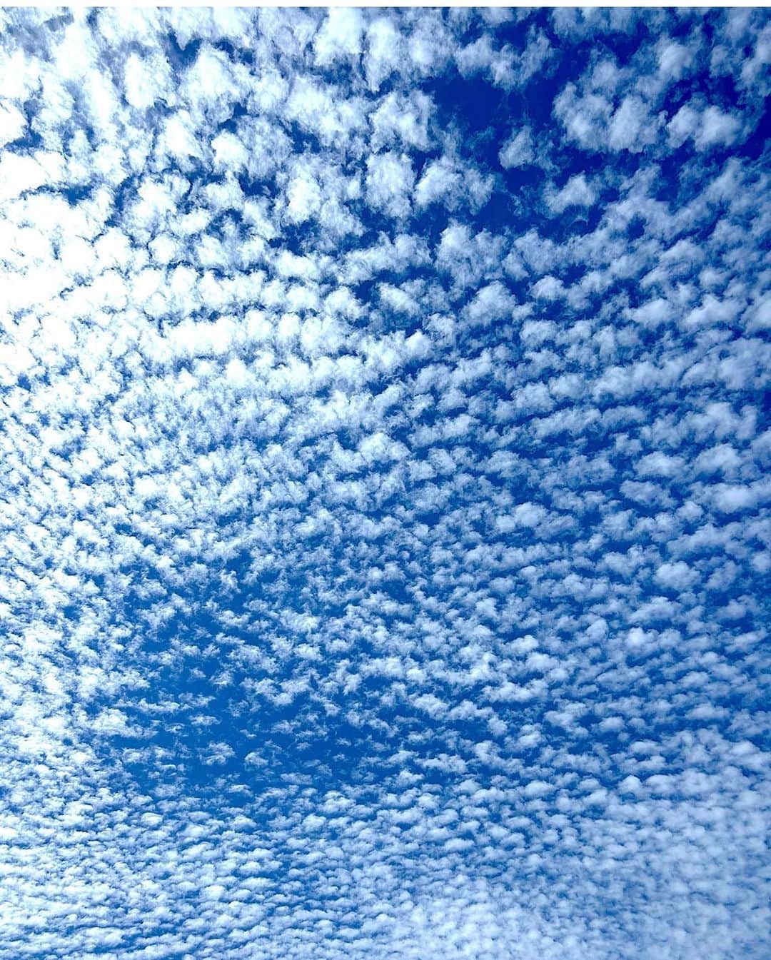 南美希子さんのインスタグラム写真 - (南美希子Instagram)「わあ〜うろこ雲が綺麗。」7月31日 9時21分 - mikiko_minami