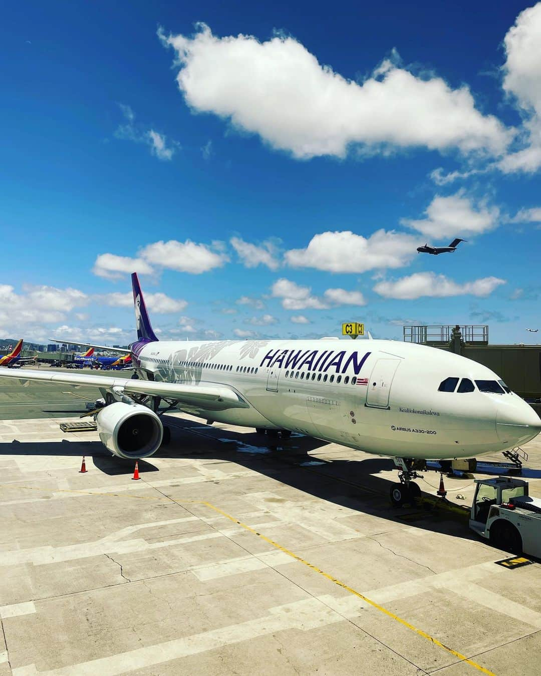 ハワイアン航空さんのインスタグラム写真 - (ハワイアン航空Instagram)「Aloha kakahiaka!  青空と#プアラニ はやっぱり映えるね🤙🏽 今週も張り切ってまいりましょう！  #ブルーマンデー #夏休み #ハワイ旅行 #飛行機好きな人と繋がりたい」7月31日 9時31分 - hawaiianairlinesjp