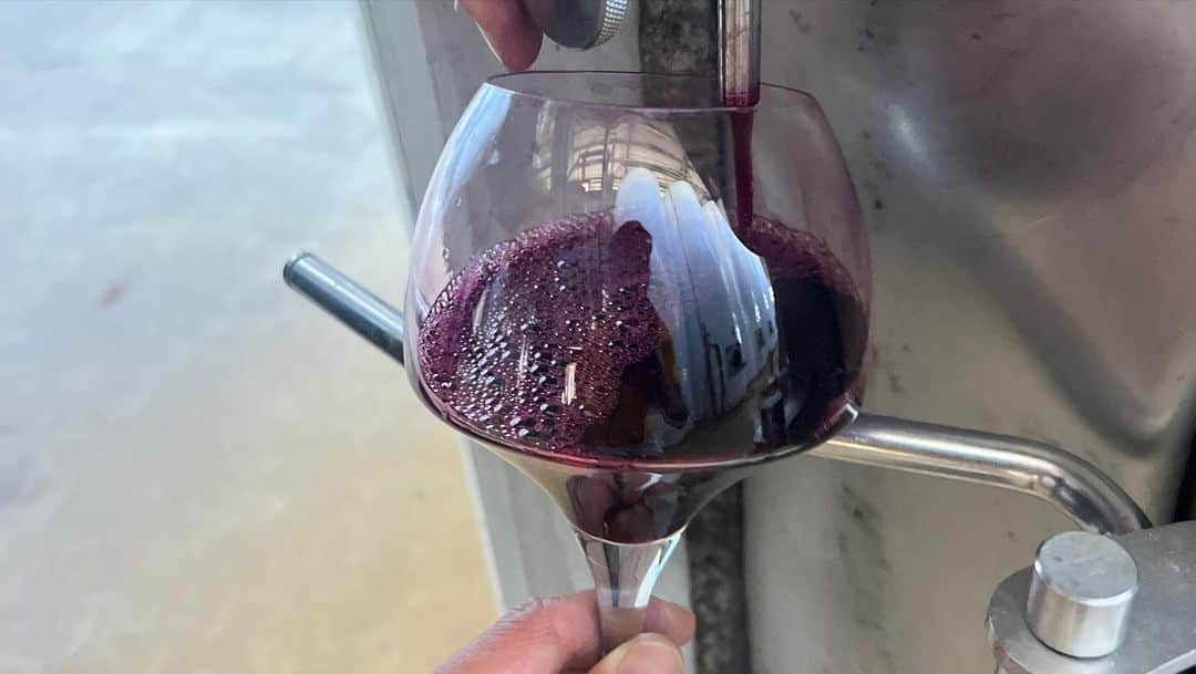 池内博之さんのインスタグラム写真 - (池内博之Instagram)「Thank u for all💜🍷🍷🍷 SIRROMETの歴史とワイン作りの工程を知りながら飲むワインは格別でした。 #QUEENSLAND #sirrometwinery」7月31日 9時52分 - hiroyuki.ikeuchi