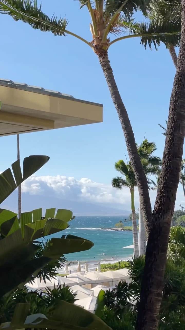 ANDIE ARTHURのインスタグラム：「still sippin mai tai’s」