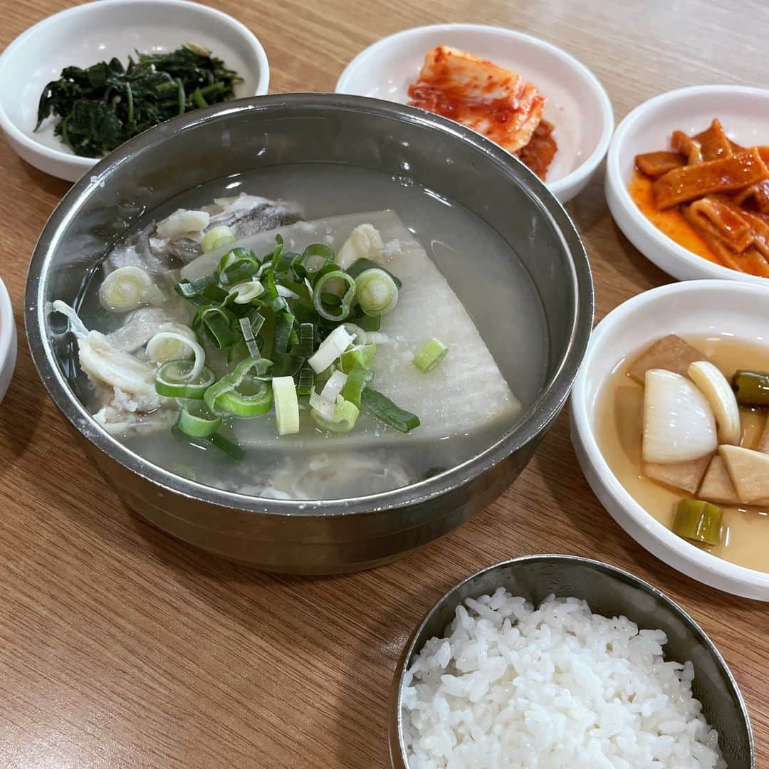 JR九州高速船株式会社のインスタグラム：「[日本語] [한국어] 釜山・海雲台（ヘウンデ）海雲台キワチッテグタン 해운대 기와집대구탕  ※韓国語ワンポイント💁‍♂️ テグ＝タラ//タン＝スープの総称です。韓国料理でよくみる〇〇タンというのは、スープ系の料理のことです。  今日は、タラのスープ専門店を紹介します。 メニューは「テグタン」一品のみ！迷う必要なし、間違いなし！😊 アツアツの優しいスープは、忘れられないおいしさです。  메뉴는 대구탕 단 하나!  망설이지 않고 주문하는, 언제 먹어도 만족스러운 맛입니다.  【住所・주소】 부산 해운대구 달맞이길104번길 46 46 Dalmaji-gil 104beon-gil, Haeundae-gu, Busan, South Korea  【営業時間】 08:00～21:00  プサンの魅力を、動画で伝えるメディア「BBB!」でも紹介中！💁‍♂️ https://bbb-busan.com/spot/119  #クイーンビートル #QUEENBEETLE #퀸비틀 #韓国旅行 #韓国 #釜山旅行 #釜山 #プサン #海雲台 #ヘウンデ #タラ #タラのスープ #korea #busan #한국 #부산 #부산여행 #한국여행 #해운대 #부산맛집 #대구탕 #韓国好きな人と繋がりたい #jr九州高速船」