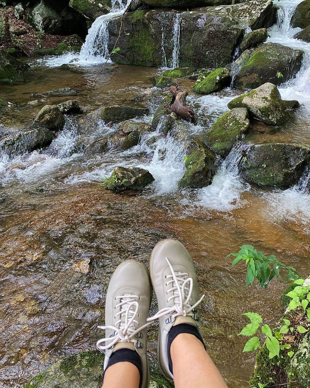 ダンスコのインスタグラム：「Adventure awaits! Where will the Mary outdoor sneaker take you? 📸  @la_crossley Shop Mary Taupe, link in bio. #travel #danskofootwear #comfort #summerstyle #fashion #ootd #beautiful #happy #cute #travel #smile #joy #life #style #instadaily #friends #family #fun #instagood #gowhereyourehappiest」