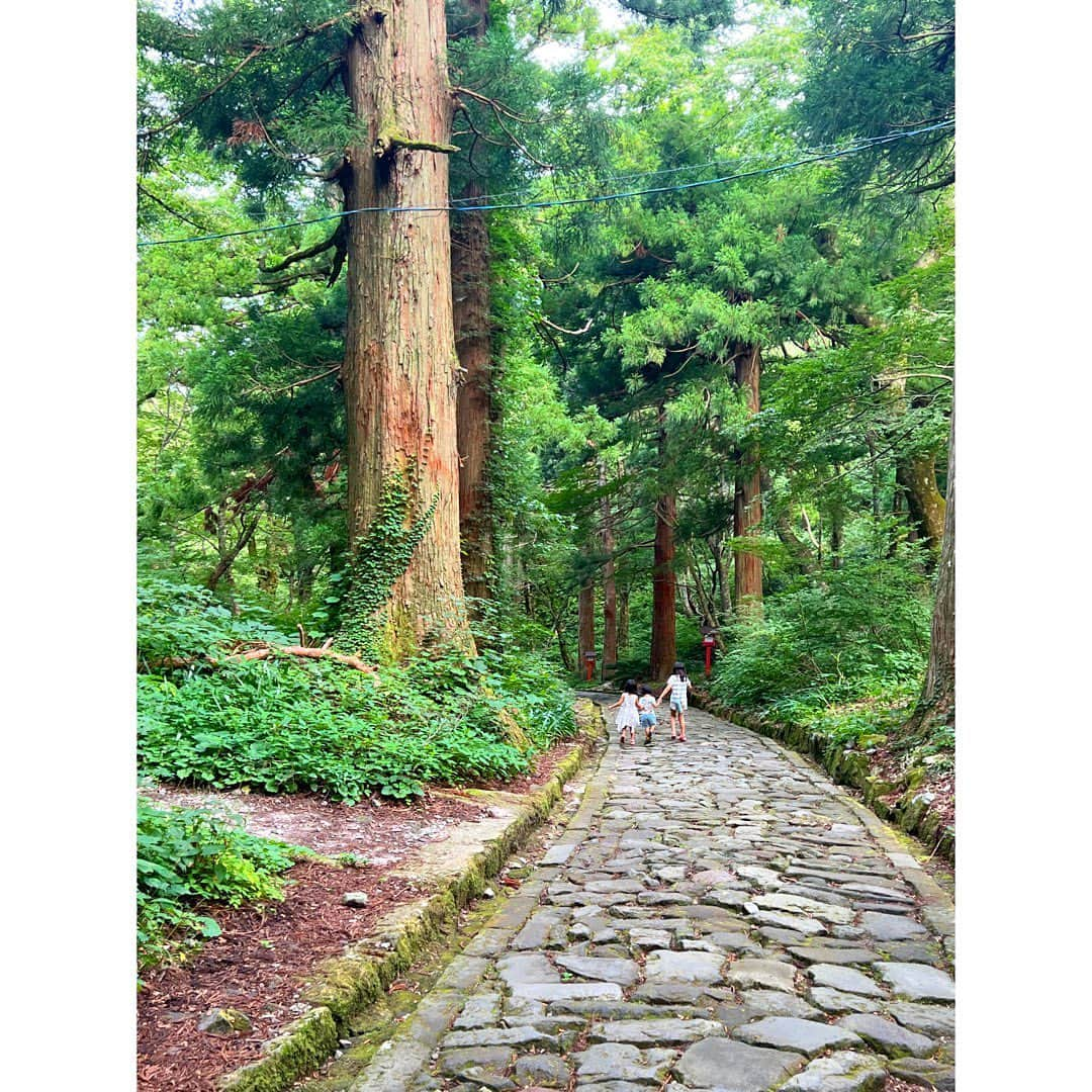 松尾翠のインスタグラム：「早朝、早く起きて 大山の大神山神社奥宮へ  空気の粒子が、気配が、さいこう。  山陰のエネルギー 八雲立つ感ムンムン💫  このあたり…そりゃ水木しげる先生も妖怪描くわ🐤  どこに行っても、 「昭和の、むかしの子供たちみたい🥹」と言われる ザッツ・こども！なうちの3ぽんぽこたちは 今日も元気に山を登ってました🫶 そして午前中も引き続き外駆け回ってます🐤🐤🐤  先週の福知山の元伊勢神社と天の岩戸、天橋立・真名井神社に続き… 日本の濃い場所を、全身全霊で受け取り浴びるしあわせよ。 ただただ、ハートオープンして、てくてく歩いてます〜  #自然が好き #自然派育児 #大神山神社奥宮 #大山 #八雲立つ #奥大山 #奥出雲#翠さんの地球旅」