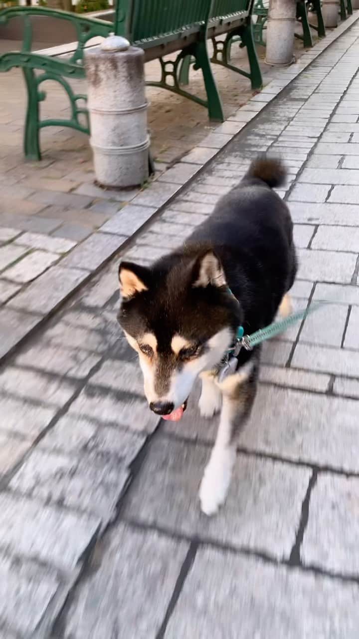 くろのグルメインスタ