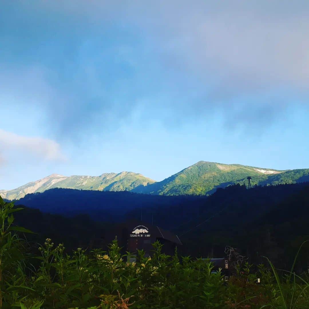栂池高原スキー場さんのインスタグラム写真 - (栂池高原スキー場Instagram)「おはようございます。 7月31日 つがいけゴンドラの朝一情報です。  天候　晴れ 気温　20℃ 風速　0m/s  今朝は、小蓮華山、白馬岳が 綺麗に見えています！ お花の種類も増えてきました！  本日も、暑くなりそうです。 熱中症対策をしてお楽しみください。  ぜひ、栂池高原にお越しくださいませ！ ご来場お待ちしております。  #中部山岳国立公園  #栂池自然園  #北アルプス #白馬山麓 #長野県 #白馬つがいけWOW！ #白馬 #栂池高原スキー場 #栂池高原 #栂池 #ロープウェイ #つがいけマウンテンリゾート  #tsugaike #hakuba #絶景 #子連れ #家族の時間 #ファミリー #こどもとおでかけ  #トレッキング #キャンプ #ドッグラン #アクティビティ #水芭蕉 #白馬三山」7月31日 6時23分 - tsugaike_kogen