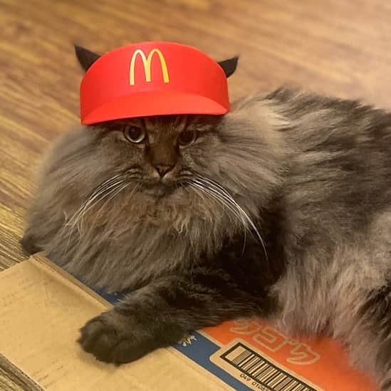 MUROのインスタグラム
