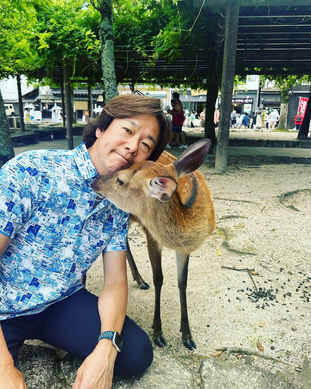 佐藤弘道さんのインスタグラム写真 - (佐藤弘道Instagram)「広島県にやって来ましたぁ〜！ まずは、厳島神社へ行って「無病息災」「交通安全」の祈願をして来ました。 鹿ちゃんとも仲良くしてもらって嬉しい♡ 水族館で暑い身体を冷やして、たくさん癒されました(^^) さぁ〜夏の研修会ツアーがスタート！ 最後まで喉も身体を維持出来るように願うばかりです(๑>◡<๑)」7月31日 7時04分 - satouhiromichi023