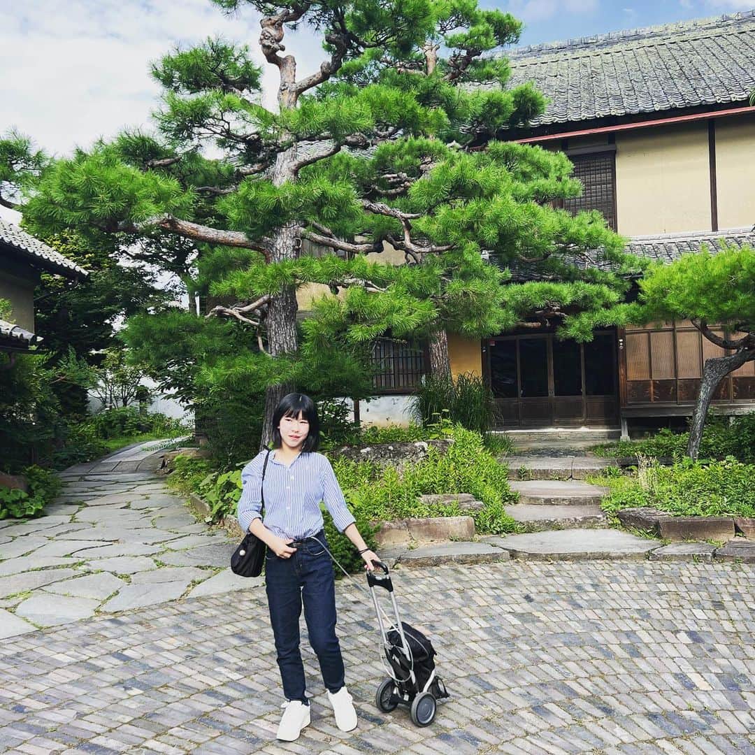 yukiさんのインスタグラム写真 - (yukiInstagram)「おはようございます。  先日、長野の小布施に行ってきました。 日本情緒が凝縮された穏やかな町。  次回は、モンブランと栗ご飯を いただきたいと思います🌰  #栗と北斎と花のまち  #日本情緒 #milkaの旅」7月31日 7時03分 - milkayuki