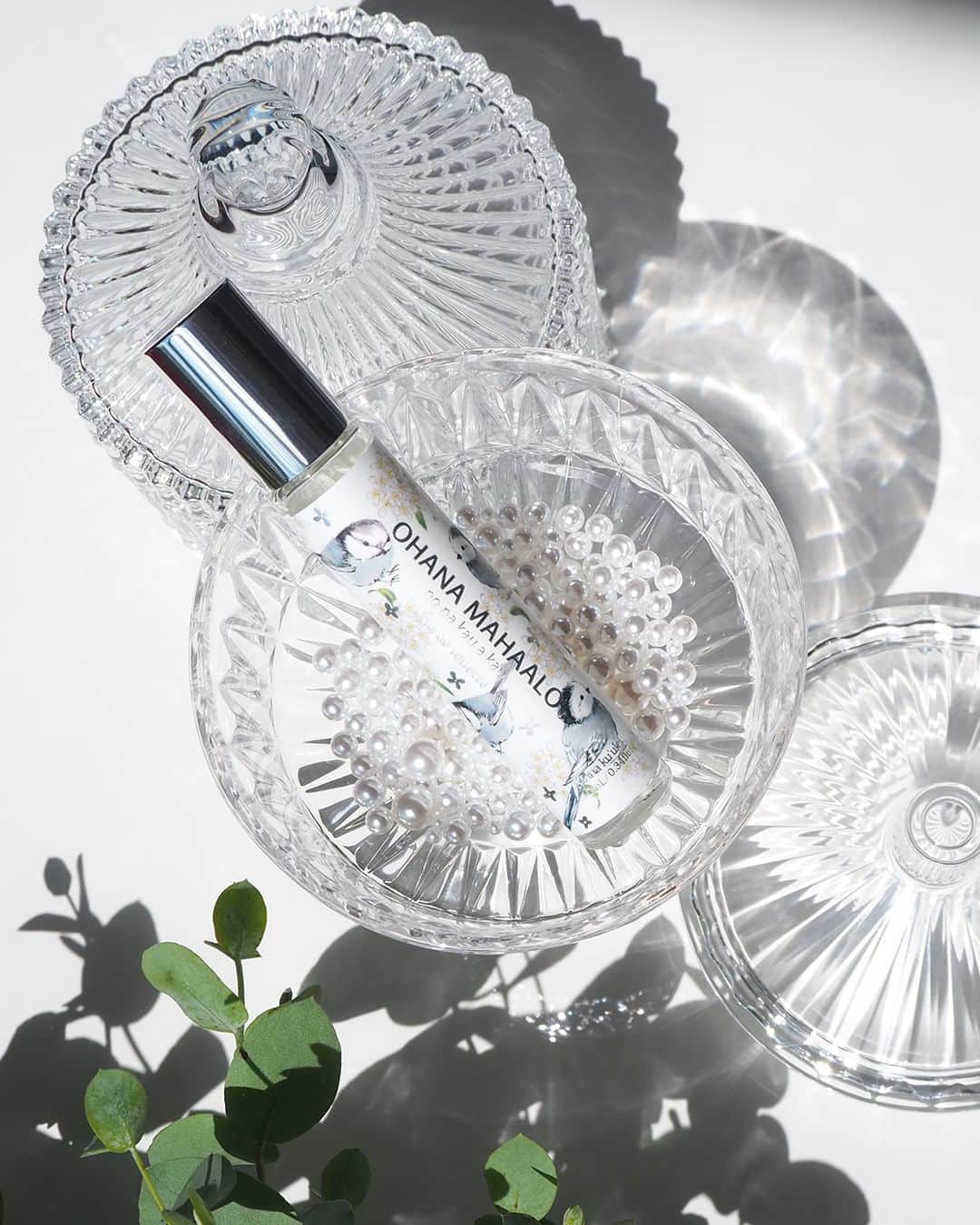 FRAGRANCYのインスタグラム