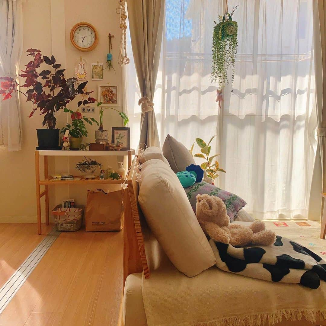 まみむめもちおのインスタグラム：「模様替えしました🏠  夜朝どっちが好き?  今日あげた動画で見れるので是非よろしくお願いします☺️   #賃貸  #ひとり暮らし  #インテリア  #観葉植物  #緑のある暮らし  #リビング  #雑貨  #古道具  #賃貸インテリア」