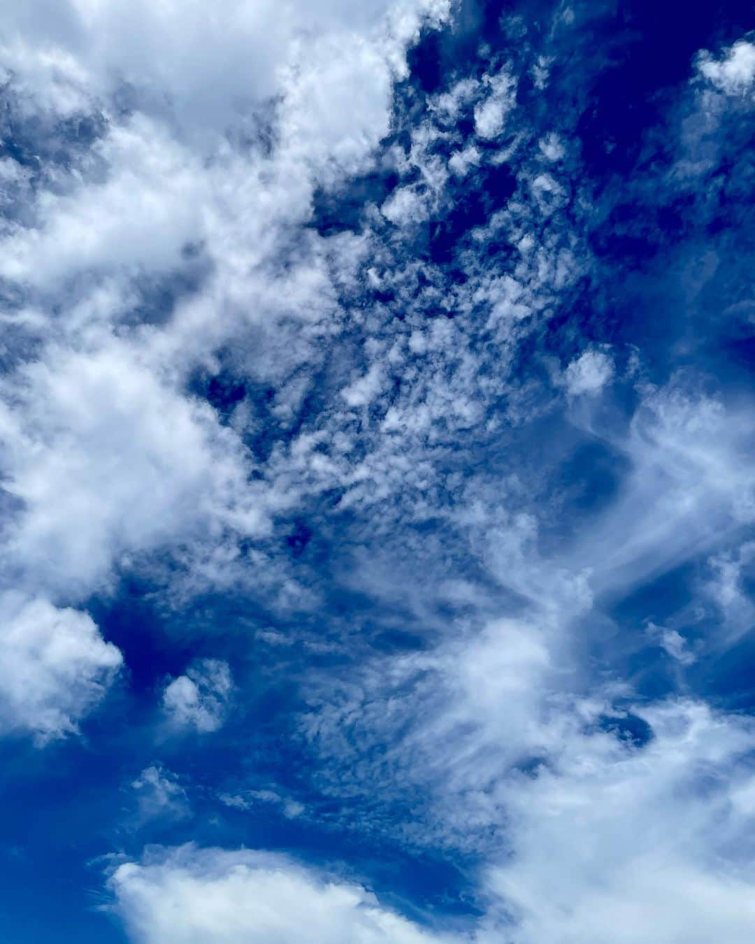 吉井明子さんのインスタグラム写真 - (吉井明子Instagram)「日中の東京の空☁️  台風6号の最新情報、これから長い期間、気にかけて確認するようになさってください。  #東京の空 #気象情報 #天気予報 #気象予報士 #気象キャスター #weatherforecaster #기상캐스터　#氣象主播 #吉井明子」7月31日 19時30分 - akiko_yoshii_sunny_rain