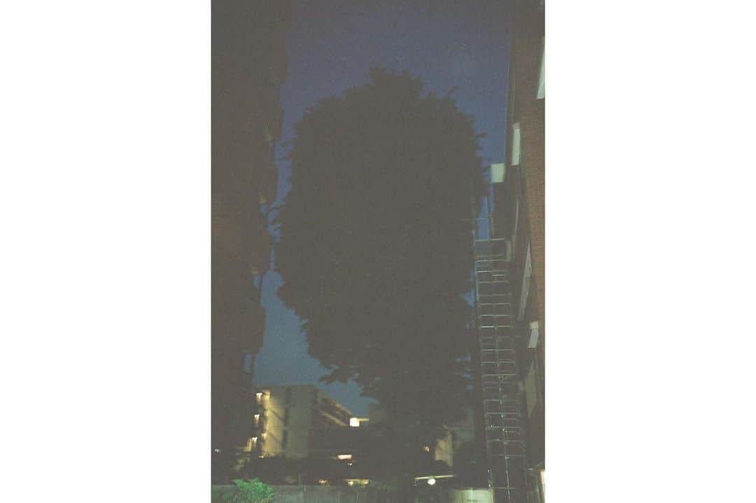 永井響さんのインスタグラム写真 - (永井響Instagram)「past  #filmphotography  #35mmfilm」7月31日 12時07分 - kyonagaijr