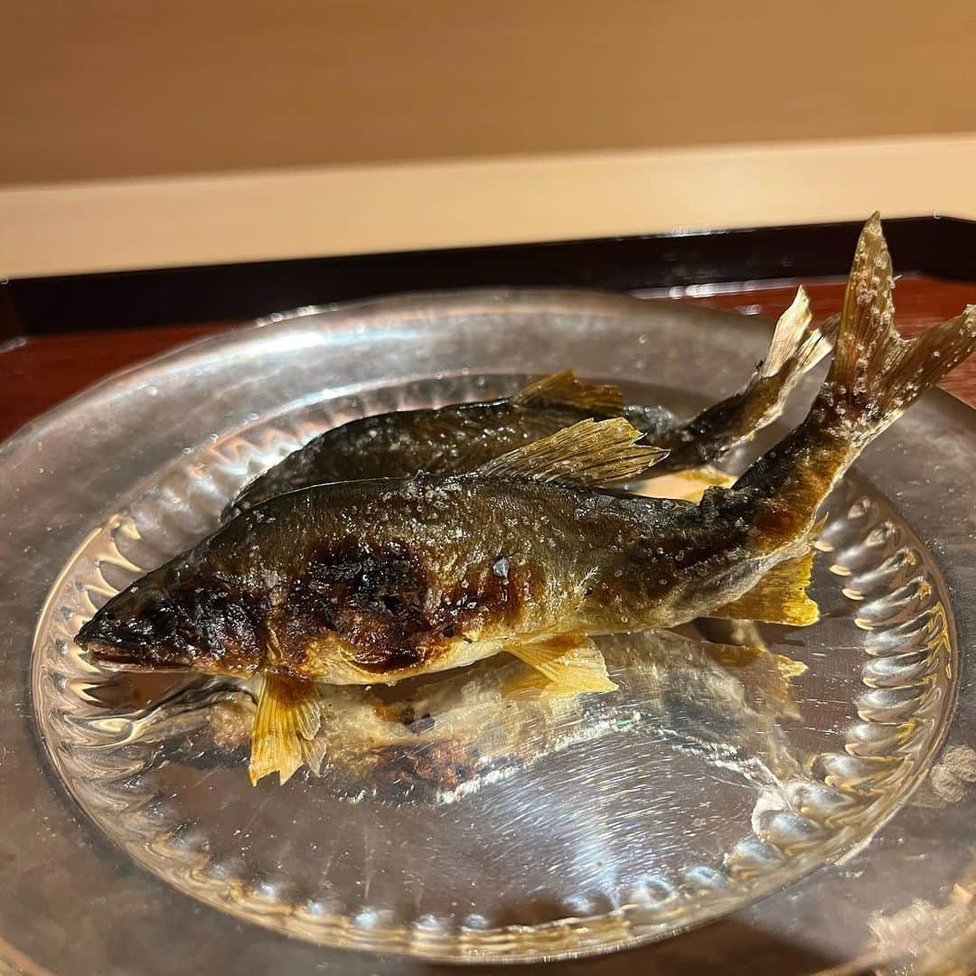 辻尾真二さんのインスタグラム写真 - (辻尾真二Instagram)「全てが絶品でした。  #料理小松 #小松 #石川グルメ #ミシュラン三ツ星」7月31日 12時52分 - shinji_tsujio