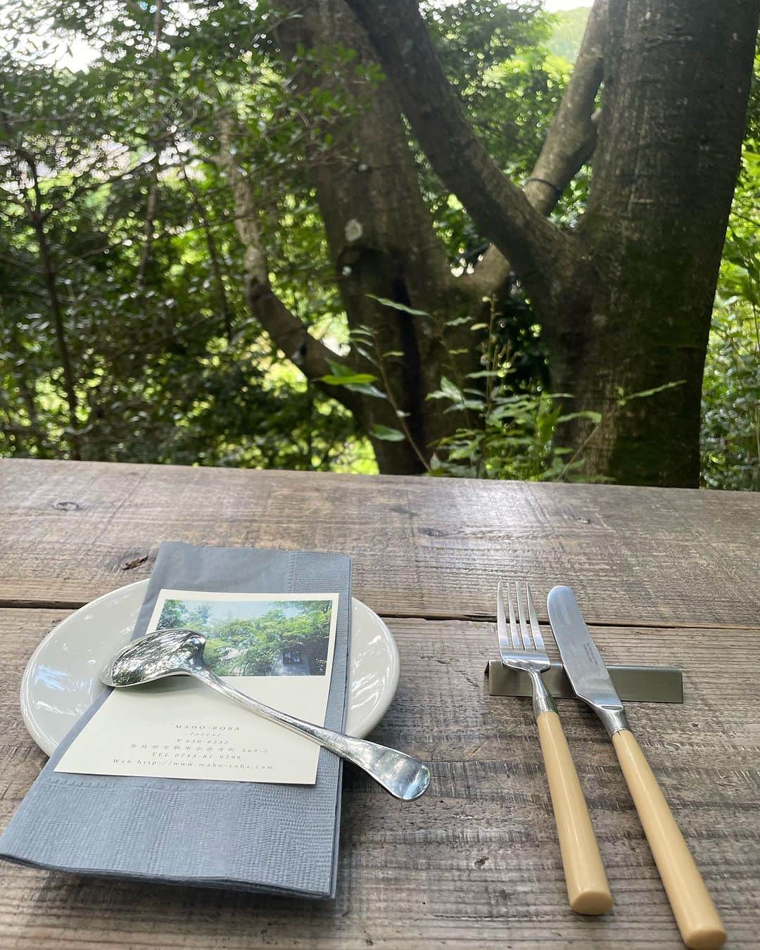 小川薫さんのインスタグラム写真 - (小川薫Instagram)「【森の中のレストラン】 . 「MAHO-ROBA」まほろば とは「素晴らしい場所」という古語。 奈良・生駒にある森の中のレストラン。 @maho_roba  長く時間をかけてそこに根を張った樹木から 木漏れ日が差し、蝉の声を聞きながらの テラスでの食事は心のごちそう🌿 . #salondeclover  #サロンドクローバー #小川薫 #料理研究家　#テーブルコーディネーター #堀江 #料理教室　#料理教室大阪　#生駒　#mahoroba #森の中のレストラン」7月31日 13時02分 - salondeclover