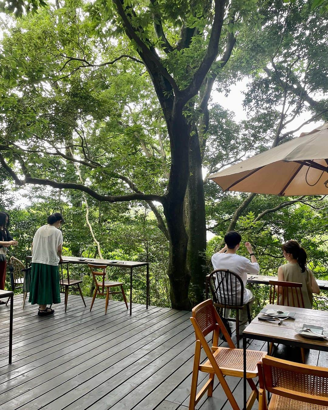 小川薫さんのインスタグラム写真 - (小川薫Instagram)「【森の中のレストラン】 . 「MAHO-ROBA」まほろば とは「素晴らしい場所」という古語。 奈良・生駒にある森の中のレストラン。 @maho_roba  長く時間をかけてそこに根を張った樹木から 木漏れ日が差し、蝉の声を聞きながらの テラスでの食事は心のごちそう🌿 . #salondeclover  #サロンドクローバー #小川薫 #料理研究家　#テーブルコーディネーター #堀江 #料理教室　#料理教室大阪　#生駒　#mahoroba #森の中のレストラン」7月31日 13時02分 - salondeclover