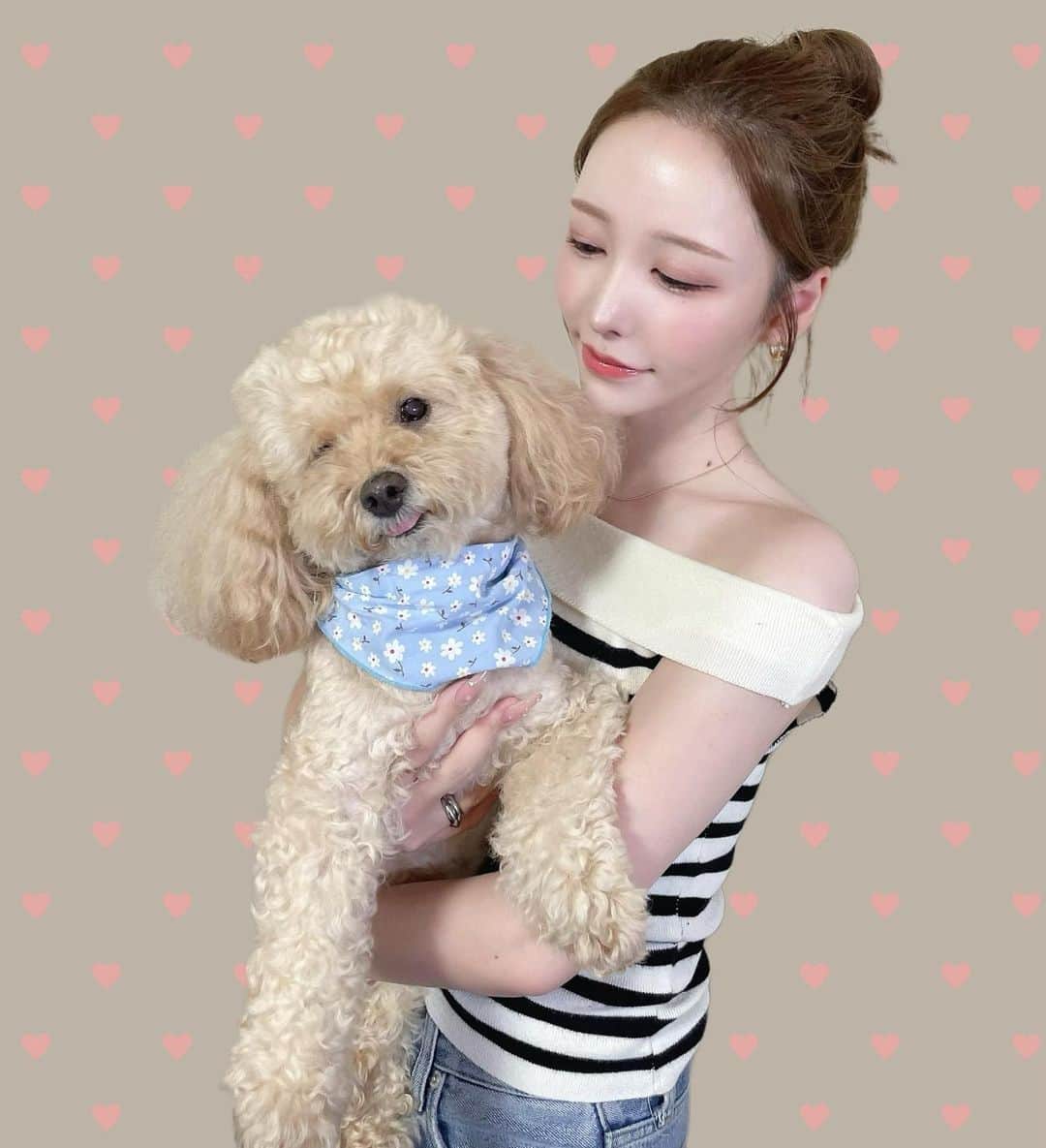 ANNAのインスタグラム：「ミルちゃんおっきくなったなぁ🐶💭🩵 君は本当にトイプーなのか？笑 トリミング前のモサモサ君🐾  ⁡ ⁡ ⁡ ⁡ ⁡ #トイプードル#トイプー#わんこのいる生活 ⁡#ootd#selfie#daily#dailylook#오오티디데일리룩#코디#좋아요#좋아요반사#패션스타그램#셀스타그램#셀카#얼스타그램#韓国ファッション#韓国メイク」