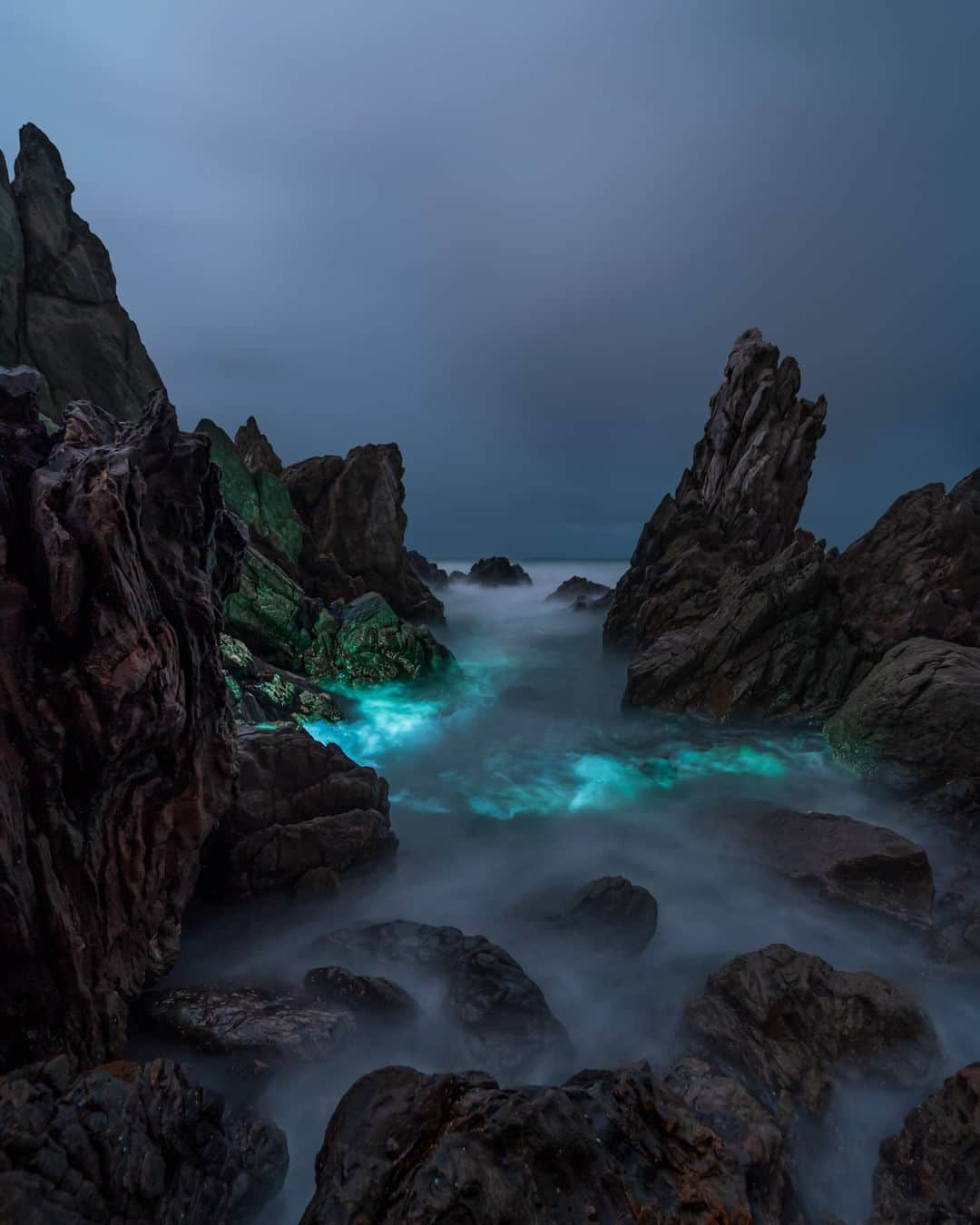 Nikon Australiaのインスタグラム：「Being prepared for any sudden changes can be a lifesaver when shooting new locations, but @vastdepthphotography is proof that even unintentional changes can have the best effects on your craft.   "A recent trip to the Fleurieu Peninsula had @ads.pixels and I waking up at 4:30am and driving 40 minutes from our accommodation to Petrel Cove for sunrise.  Setting up compositions can get tricky in the dark and you need an element of awareness and safety when shooting these types of scenes. One of the main things was checking to see what the tide was doing. Low tide was happening at 7am so we were confident setting up in this area. The low clouds were moving fast so I wanted to get a nice long exposure to get a smooth sky but was also thinking about the flow of the water coming in.  I was taking this shot and @ads.pixels accidentally flicked his torch on, illuminating some of the water adding some really nice ambience to a moody scene."  Photo by @vastdepthphotography   f/5 | 25 sec | ISO 400  Captured on the Z 6 and NIKKOR Z 14-30mm f/4 S  #Nikon #NikonAustralia #MyNikonLife #NIKKOR #NikonZ6 #Z6 #LandscapePhotography #CoastalPhotography #Australia」