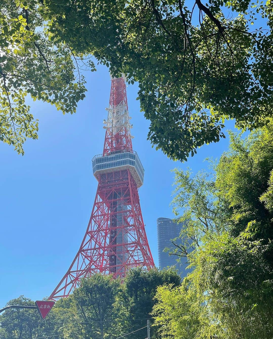 MAMIさんのインスタグラム写真 - (MAMIInstagram)「東京タワー横から見るか 下から見るか。 両方から見たわ。  ７月も今日で終わり。  怒涛の7ヶ月2023 あっという間。  色々と 棚卸しdayしてます。  ８月からはLiveやりたいなと 配信部屋を作ったり。 夏休みの課題よこれ。 冷房が入りづらい物置小屋のためサウナ的配信になる予感しかしない。  ちなみに、 我が家はお風呂にサウナ併設してるんですが、棺桶みたいで入るとメンタル落ち込むまったく整わないサウナ(設定温度90度で肌乾く。チッ)  そして体感気温が70度の サンルーム。濡れタオルを被らないと命の危険を感じる お洗濯タイム。 エベレストのデットゾーン並み  気温が体温超えてる猛暑JAPAN。  猛暑によりおうち時間が増えてるので、 冷房の届かない激アツ階段の踊り場エリア (デッドスペース15畳) は、ジムスペースにしようとせっせと 物置にあった筋トレグッズを移動。それだけで四十肩が悪化しております。。とほほ。 最近は無理せずに家具の移動は業者さんをお願いしてるのですが、ちょっと無理するとこれよ。  ７月最終日は 玄関と階段のお掃除しました。。 いい運気が入りますように。 (風水HOMEです。)  ８月もよろしくお願いします。  #スピリチュアルしがち#風水#棚卸しデー#お掃除#猛暑#サンルーム#サウナ#2023#体感気温#70度#配信部屋#四十肩#冷房病#おうち時間#掃除#超苦手」7月31日 20時01分 - mami_rcj