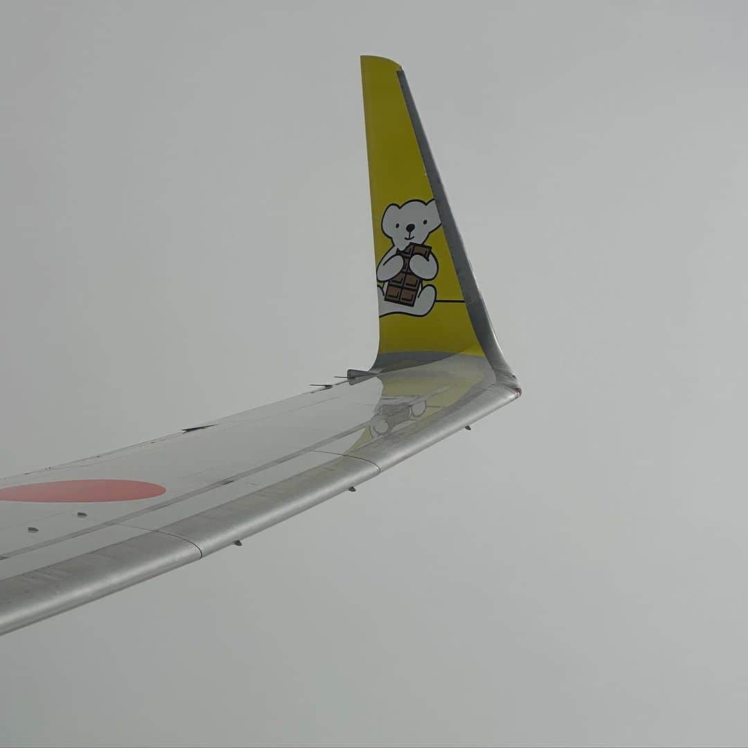 m.c.A・Tのインスタグラム：「なんか可愛い子が羽についてる飛行機で新千歳空港に到着しました！ 千歳はポツポツきてますが、 晴れ男なので何も心配していませんw。」