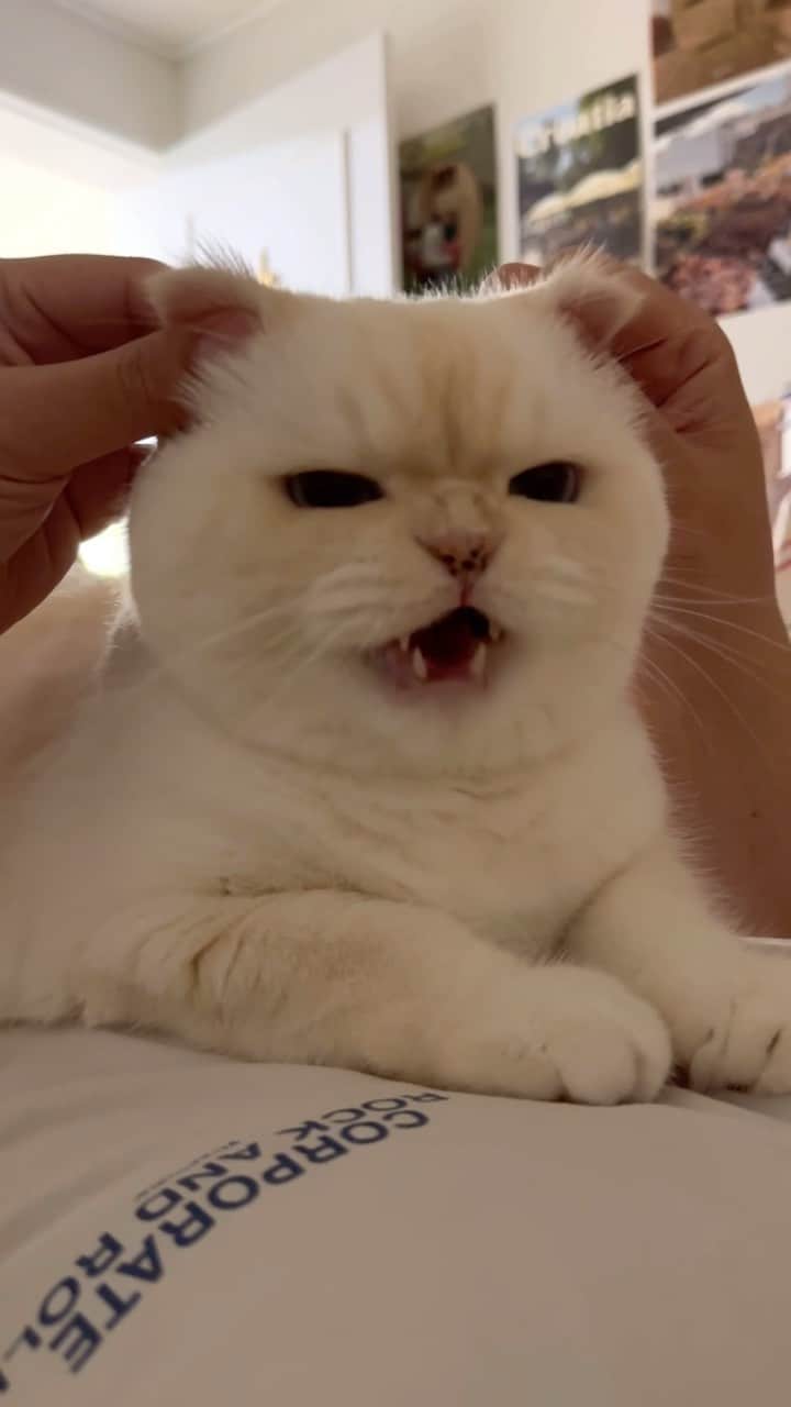 のインスタグラム：「이귀태 귀마사지 중 자신의 귀때를 맛보다(?)  #아빠아들이귀태 #순무 #SoonMoo」