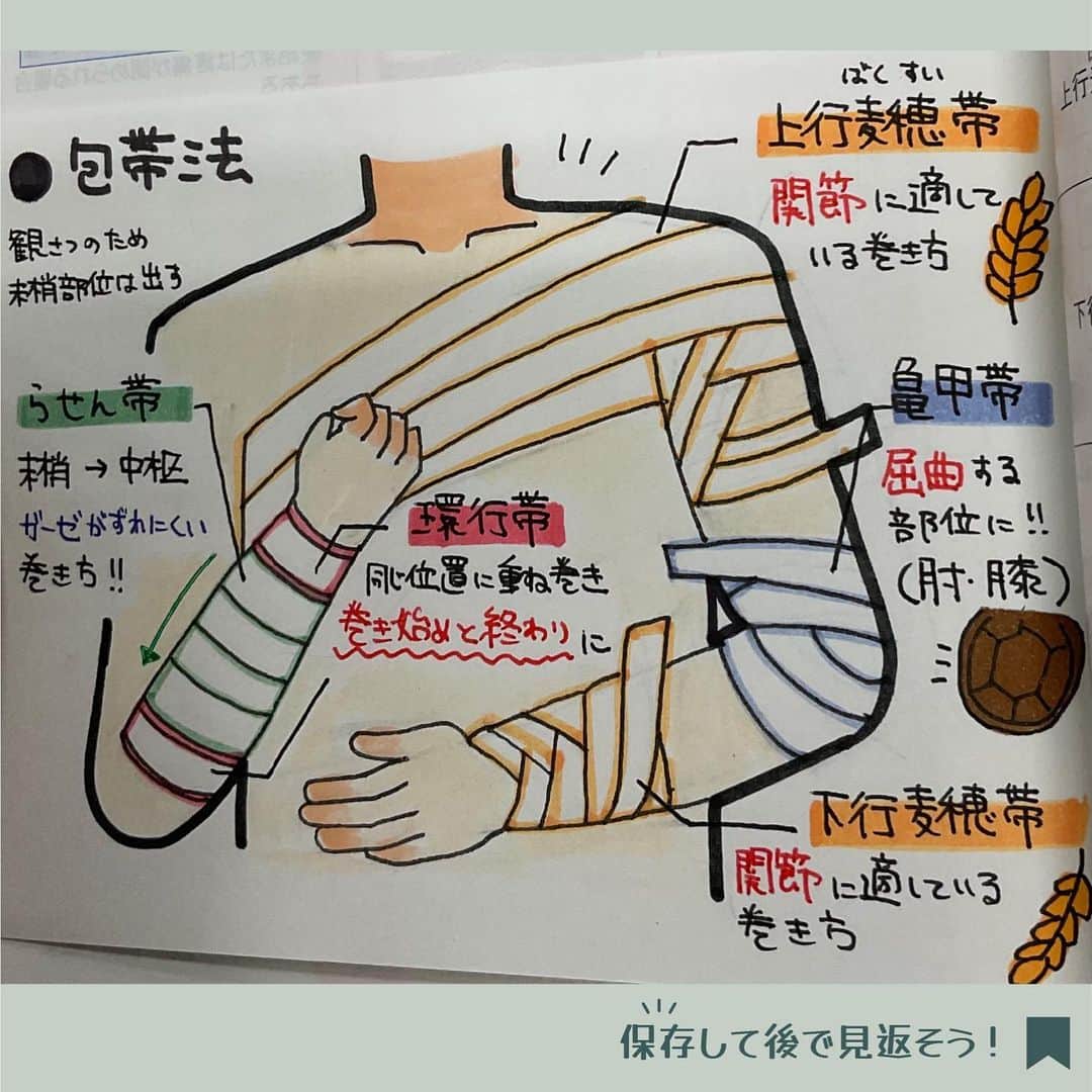 ネコナースさんのインスタグラム写真 - (ネコナースInstagram)「今回紹介する先輩（@cocoa_5453_2）は、包帯法について ...
