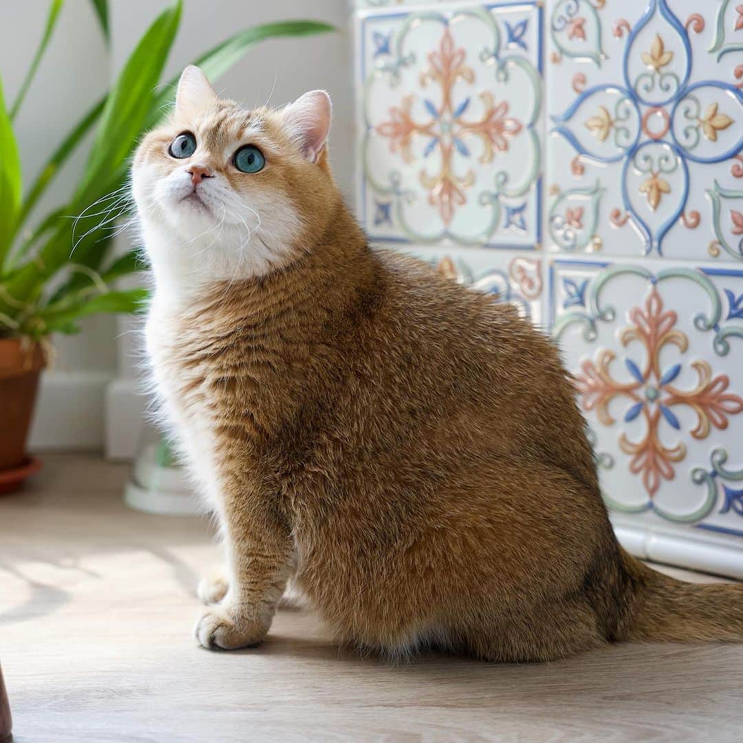 Hosicoのインスタグラム：「Happy Monday! 🛠️」