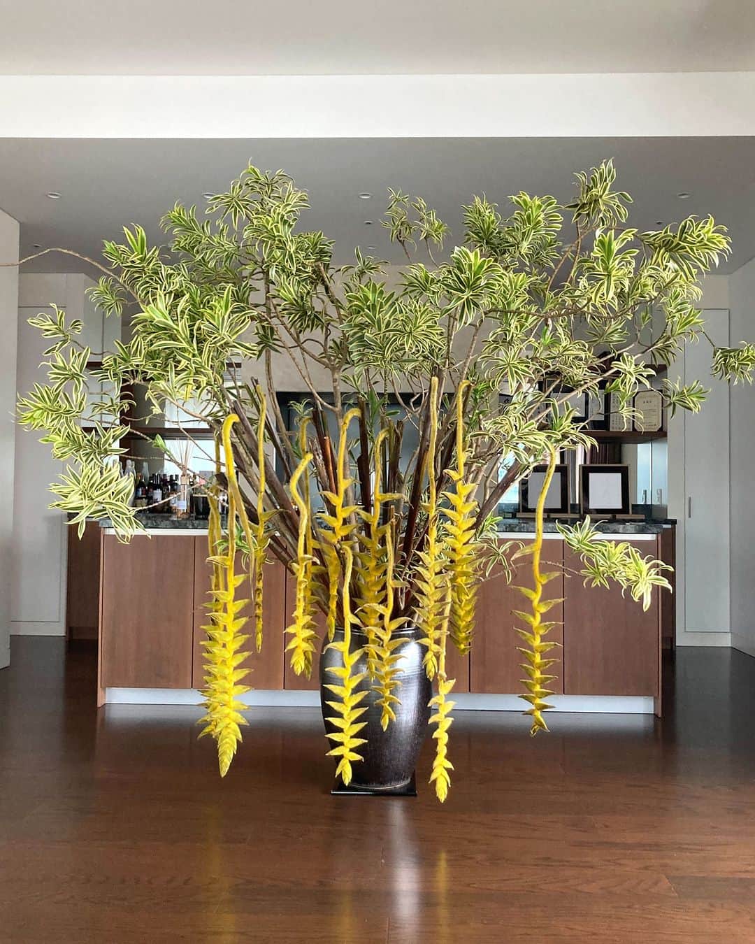 AOYAMA_HANAMOのインスタグラム：「装花のご紹介（真夏の装花-3） ・ 都内のタワーマンションのお部屋の中に活けた装花。高い天井に届きそうなほど大きく活けていて、2.5メートル以上はあるでしょうか。 ハンギング・ヘリコニアという、個性あふれる花材を主役に、観葉植物としてもよく見かけるドラセナ・インディアナでシルエットを作っています。インパクトのある、夏らしい仕上がりです。 ・ ヘリコニアもインディアナも、いずれも沖縄から届いたもの。南国の太陽に照らされて大きく育った品物です。 中南米原産のヘリコニアは、ロブスターのハサミのような花序（かじょ）が上に伸びるスタンダードなものがよく知られていますが、今回使ったハンギング・ヘリコニアは、上に伸びた茎から垂れ下がるように花をつける下垂性のもの。これほど巨大なものはなかなかお目にかかれませんね。 - - - #aoyamahanamo #青山花茂 #表参道の花屋 #お花のある生活 #花が好きな人と繋がりたい #花を飾ろう #花のある暮らし #花のあるくらし #花のある日常 #ヘリコニア #ハンギングヘリコニア #ドラセナ #ドラセナインディアナ #ドラセナソングオブインディア #枝物 #装花 #活け込み #青山花茂活け込み #ご自宅装花 #タワーマンション #フラワーディスプレイ #壺活け #季節の装花 #夏の装花 #インテリアフラワー」