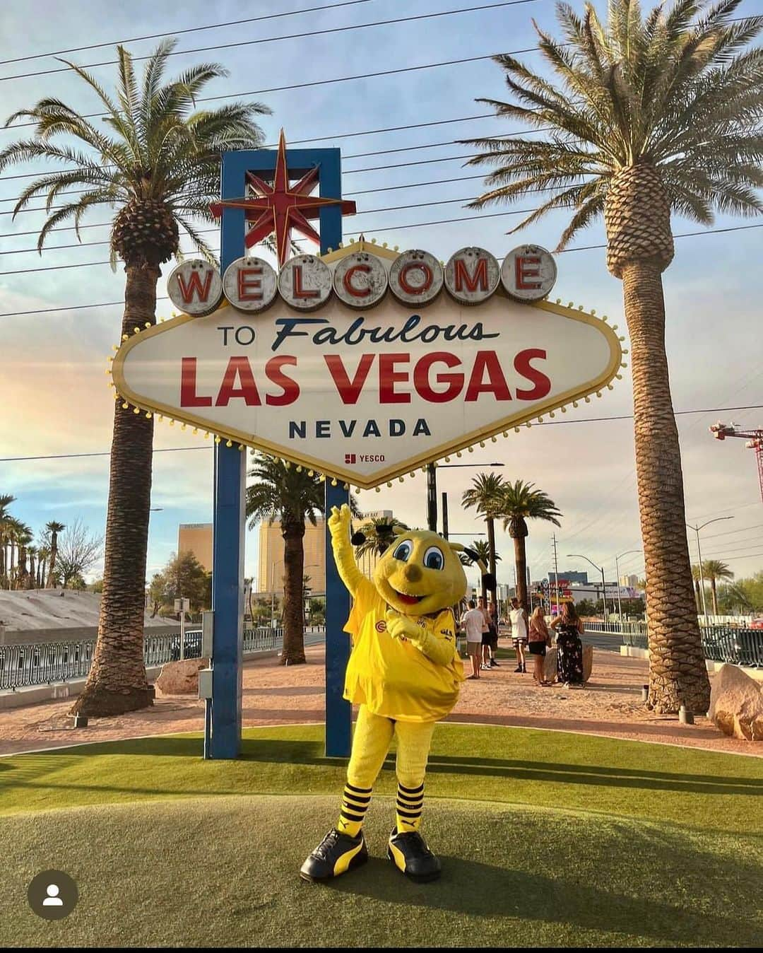 ローマン・ヴァイデンフェラーのインスタグラム：「Las Vegas, die Stadt, die nie schläft! #usa #lasvegas #nevada #bvb #ustour」