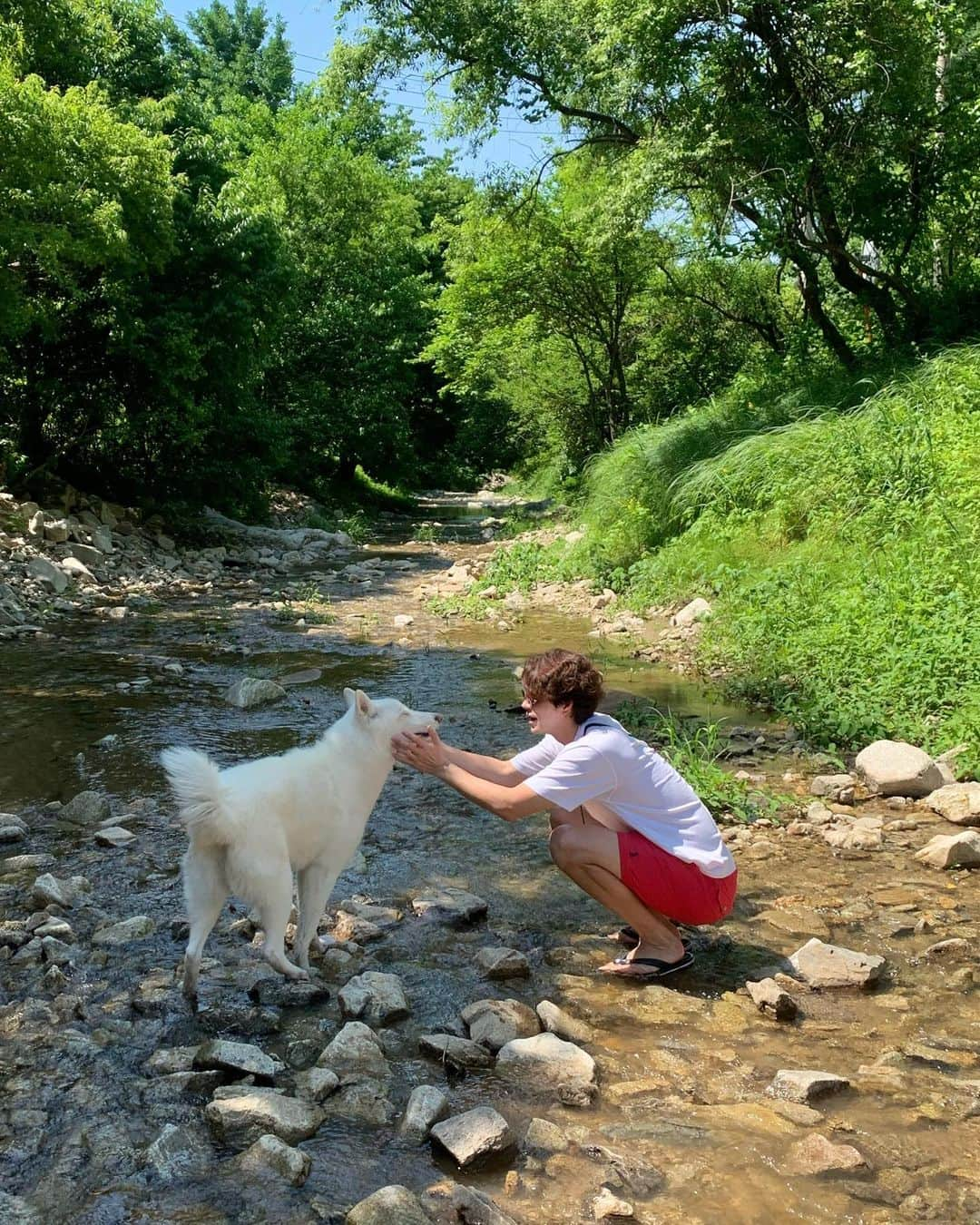 ホン・ジョンヒョンさんのインスタグラム写真 - (ホン・ジョンヒョンInstagram)「여름이다.」7月31日 20時06分 - hjonghyun