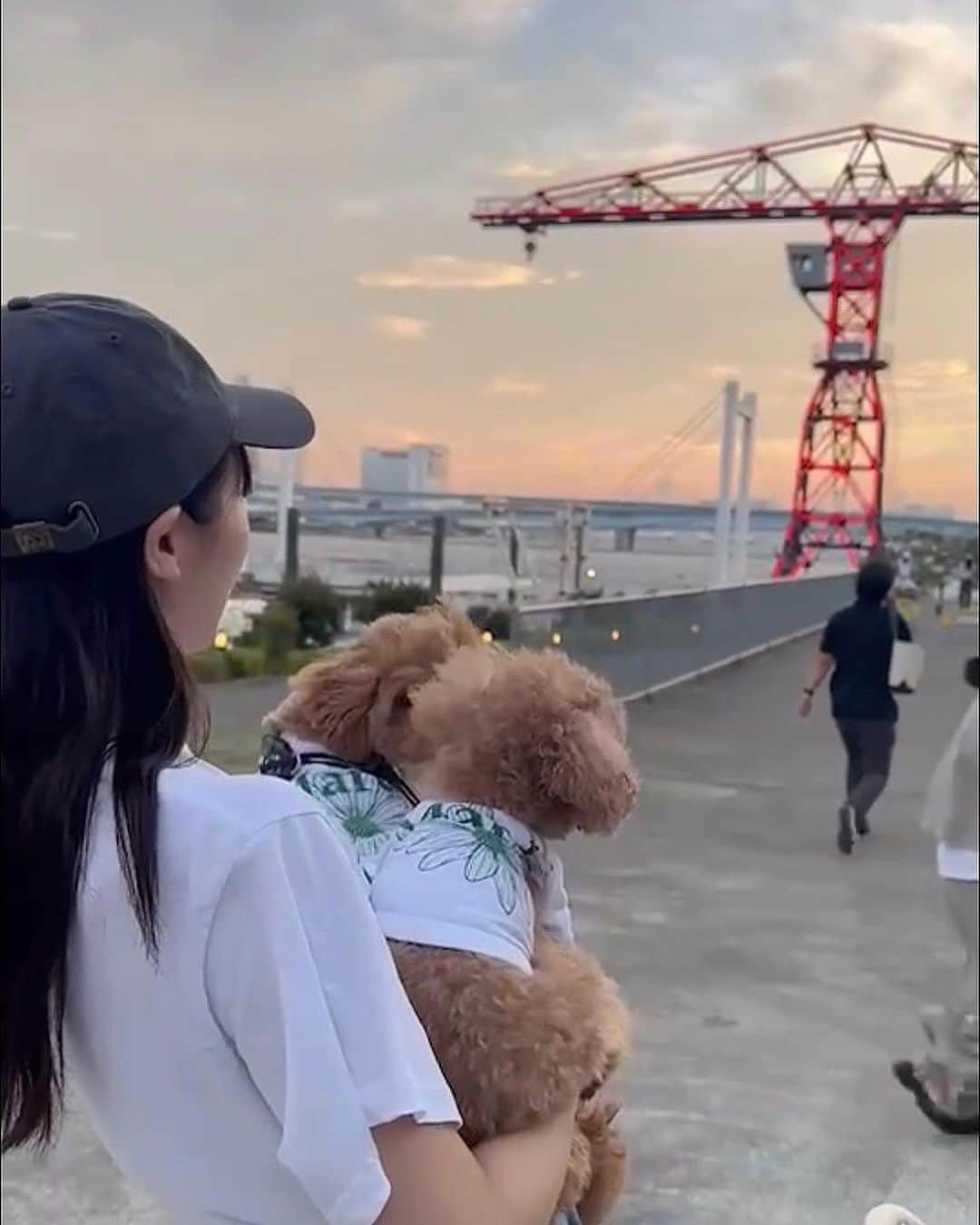 中山莉子のインスタグラム：「→ みんなでお揃いのお洋服を着ました💙 ⁡ ジャスちゃんまたウクと遊んでね☺️ ⁡ #愛犬#マルプー#わんこ#犬のいる暮らし#癒し#可愛い #dog#pet#dogstagram#instadog」