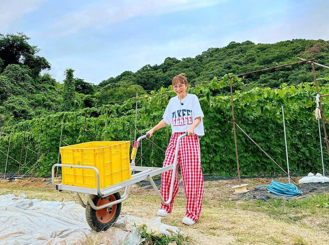 鈴木奈々さんのインスタグラム写真 - (鈴木奈々Instagram)「今日は畑仕事をしました😊 #テレビのロケ」7月31日 20時19分 - nana_suzuki79