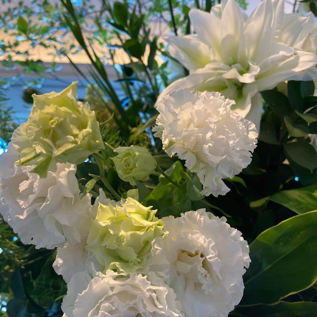 大島璃音さんのインスタグラム写真 - (大島璃音Instagram)「🫠🤍  白と緑の爽やかな配色が素敵でした🌿」7月31日 20時15分 - rinon_ohshima